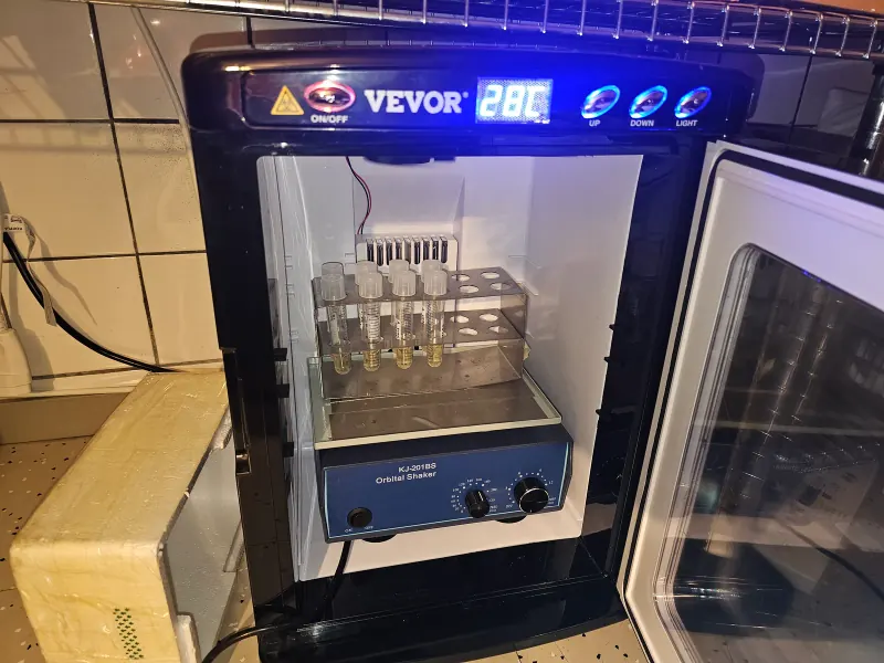Incubator shaker with bacterial cultures
