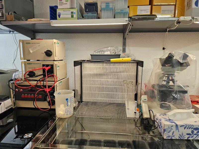 Electrophoresis and microscope bench